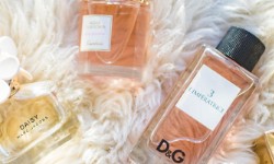 Elevate Your Senses with Fragrantiz