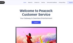Peacock Customer Service Contact: Your Pathway to Streaming Bliss