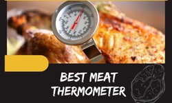 Unlocking Precision: The Best Meat Thermometer