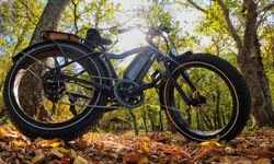 "Unlocking the Power: Tips for Maximizing the Battery Life of isinwheel M10 Commuter Bike"