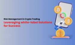Risk Management in Crypto Trading: Leveraging white-label Solutions for Success