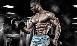 Everything You Should Know about the Costs of Steroids for Sale UK