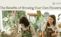 The Benefits of Growing Your Own Flowers