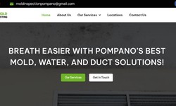 mold inspection pompano beach