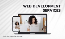 A Comprehensive Guide to Website Development Packages