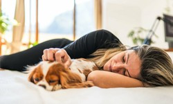 How Can I Prepare My Dog to Serve as an Emotional Support Animal?