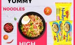The top producers, suppliers, and shippers of noodles in India.
