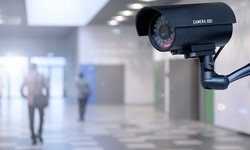 Do All Countries Have an Extensive Surveillance System?