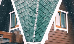 Protecting Your Shelter: The Ultimate Guide to Roof Repairs