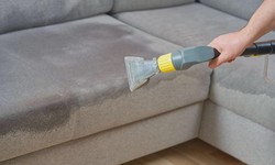 The Art of Sofa Renewal: Annangrove's Top Upholstery Cleaning Tips?
