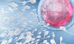 How Long Is the Process of IVF?