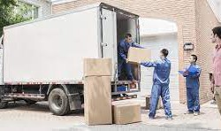 Leading the Way for Movers in Dubai Marina