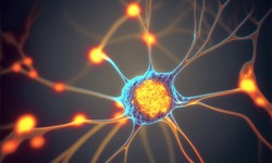 Navigating Neurotoxin Therapies: What You Need to Know