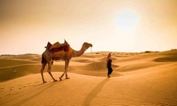 Explore the Golden City with Desert Holiday Jaisalmer