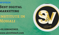 S2Vinfotech is the best digital marketing institute in Mohali