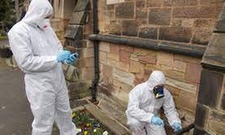 Clearing the Environment: The Importance of an Asbestos Survey