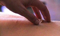 A Journey into Bliss the Art of Massagem Tantrica sp