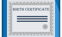 Navigating The Birth Certificate Translation Landscape