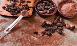 Cocoa Beans: Unraveling The Stories Chocolate Gems From Yield To Pleasure
