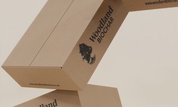 What Are the Different Types of Custom Printed Mailer Boxes?