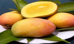 Quality Standards of Mango Companies in Pakistan