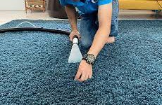 How to Achieve Allergen-Free Living Through Effective Carpet Maintenance