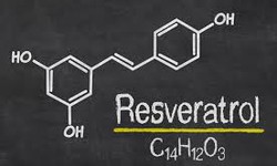 Does Resveratrol Lower Cholesterol