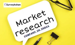 Insights Unveiled: The Top Market Research Companies in India