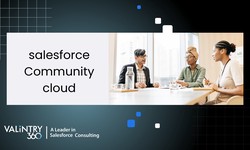 salesforce Community cloud