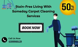 Step into Clean: Elevate Your Space with Professional Carpet Cleaning Services