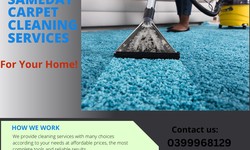 Transform Your Home with Professional Carpet Cleaning Services