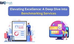 Elevating Excellence: A Deep Dive into Benchmarking Services