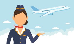What Is A Flight Attendant And What Does He/She Do?