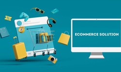 The Pinnacle of E-commerce Website Development Services