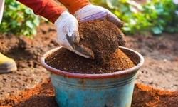Organic Manure and Fertilizers: Buy Nature's Best Online for Your Garden's Growth
