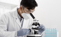 Navigating Challenges and Rewards in Regulatory Affairs