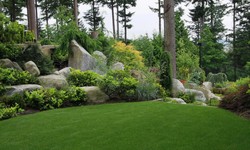Landscaping Services Loveland: What You Need to Know