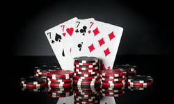 How to Make Best Possible Use of Live Casino Without License