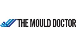 Unveiling Expert Solutions in Sydney: Resolving Mould Issues Effectively.