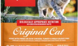 Orijen Cat Food: Unveiling the Secret to Feline Health and Longevity