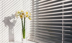 Window Dressing 101: Choosing Blinds in Solihull
