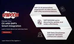 Enduring Relationships, Unmatched Success: Why Spadoom SAP CX Consultants are Your Key to Customer Loyalty