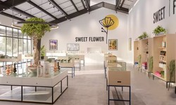 Exploring the Convenience of Delivery Dispensaries in Downtown Los Angeles