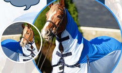 The Importance of Lightweight Turnout Rugs