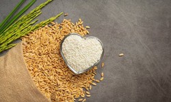 AJY Global Trade | World's Largest Exporter of Indian Basmati Rice