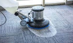 Are You Making These DIY Carpet Cleaning Product Errors? Cease Immediately!