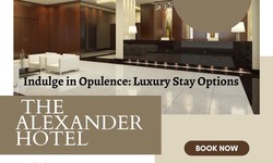 "Indulge in Opulence: Luxury Stay Options at The Alexander Hotel, Miami!"