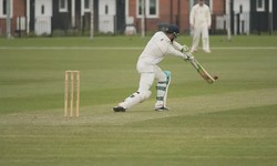 Beyond the Odds: The Impact of Online Cricket ID Providers on the Game