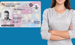 Unlock the Night: Premier Maryland Fake IDs – Your Passport to Unforgettable Experiences