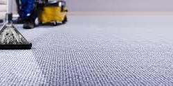 Emergency Stain Removal: Quick and Easy Carpet Rescue